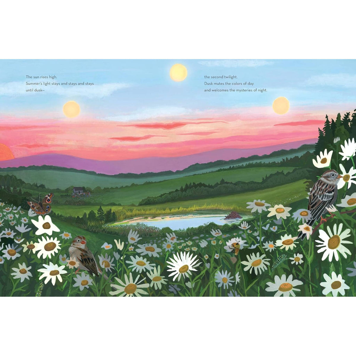 When Twilight Comes : The Animals and Plants That Bring Dawn and Dusk to Life – inside pages