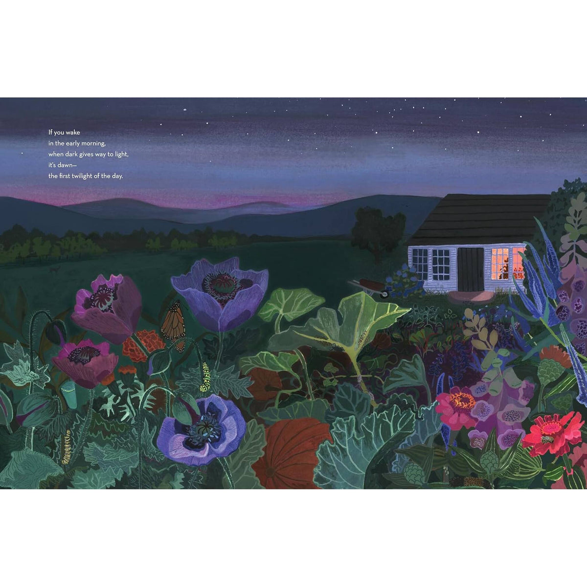 When Twilight Comes : The Animals and Plants That Bring Dawn and Dusk to Life – inside pages