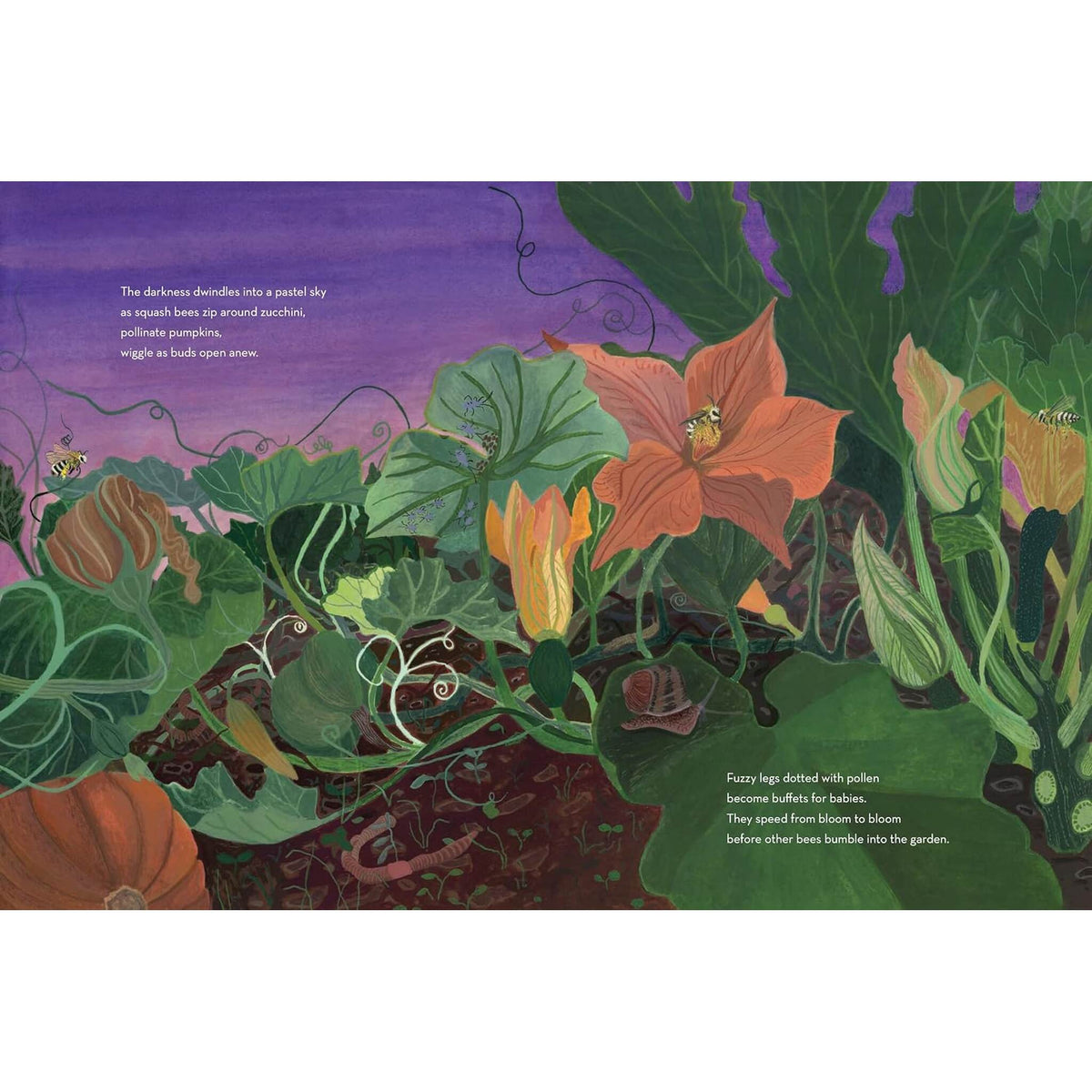 When Twilight Comes : The Animals and Plants That Bring Dawn and Dusk to Life – inside pages