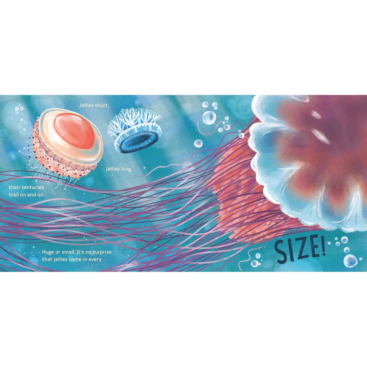 Secrets of the Jellies – inside pages