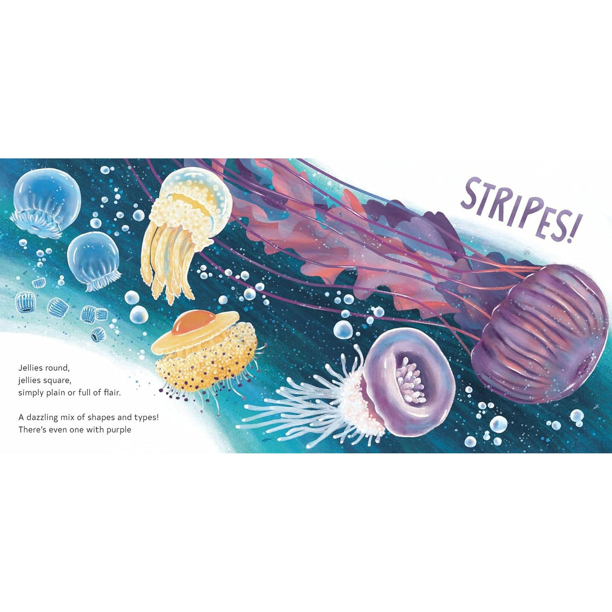 Secrets of the Jellies – inside pages
