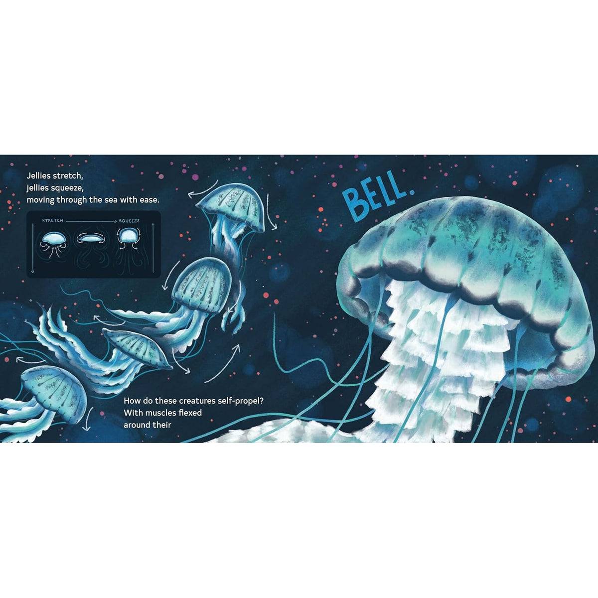 Secrets of the Jellies – inside pages