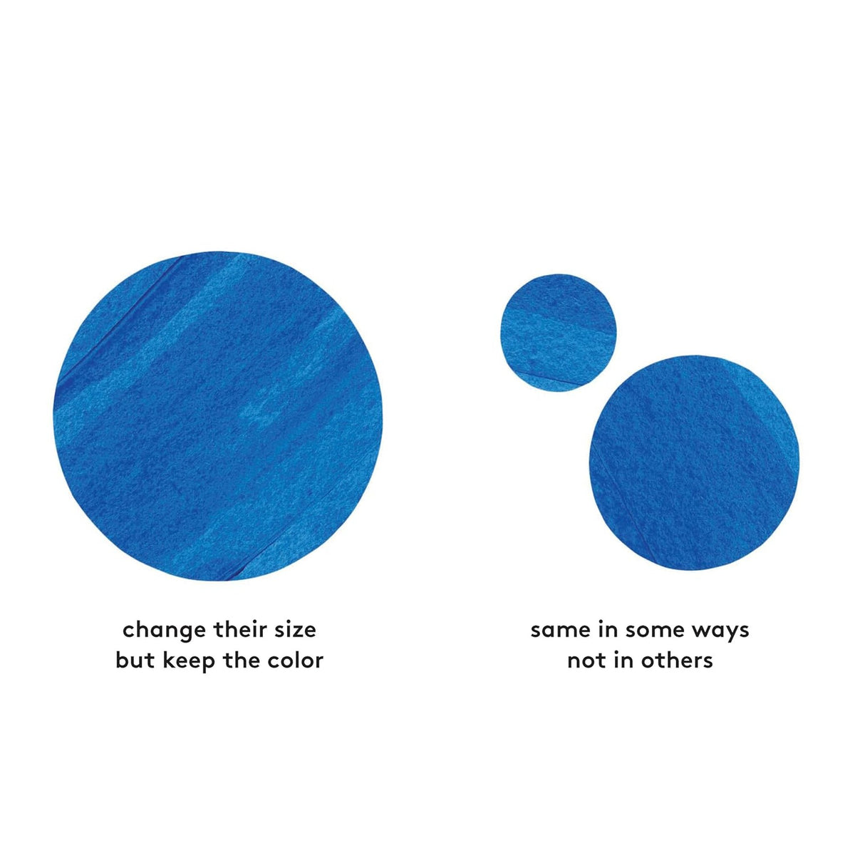 One Whole Hippopotamus : A Book About Parts and Patterns – inside pages