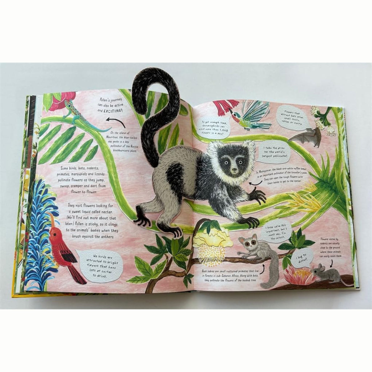 The Great Pollination Investigation : and How We Get Food from Flowers