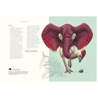 Terra Ultima : The discovery of a new continent - My Little J