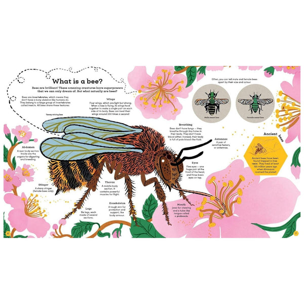 Think Big: Secrets of Bees (Paperback)