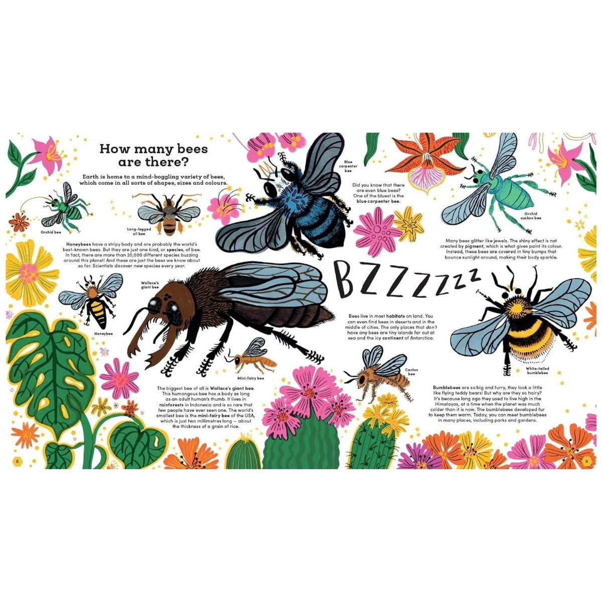 Think Big: Secrets of Bees (Paperback)