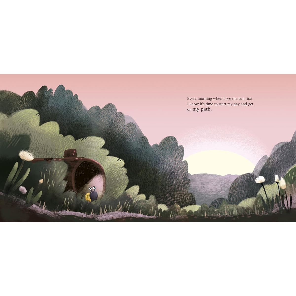My Path – inside pages