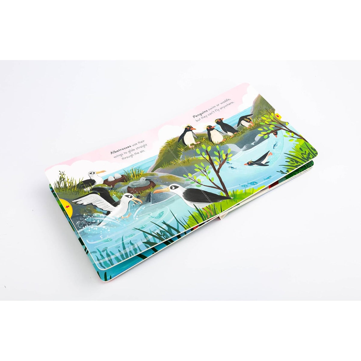 Big Outdoors for Little Explorers: Birds – inside pages