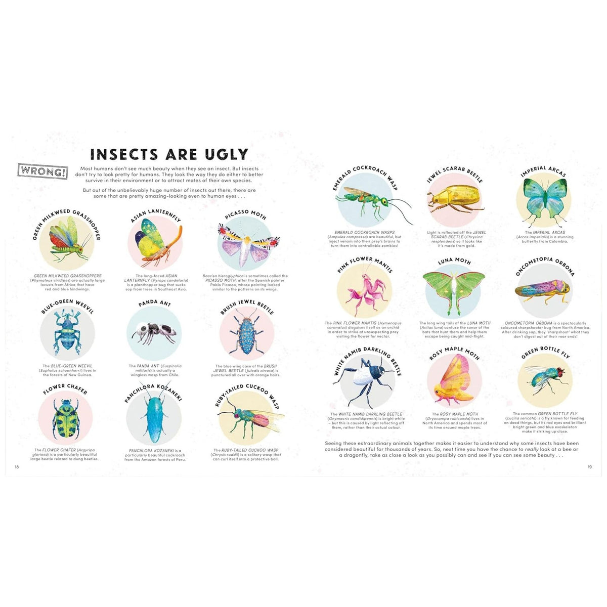 Everything You Know about Minibeasts Is Wrong!