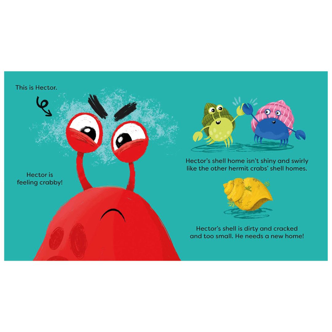 Feeling Crabby : Can YOU help Hector the hermit crab find a new home? - My Little J