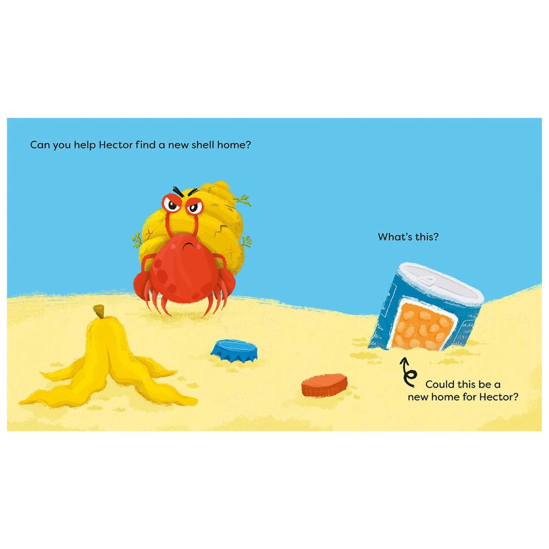 Feeling Crabby : Can YOU help Hector the hermit crab find a new home? - My Little J