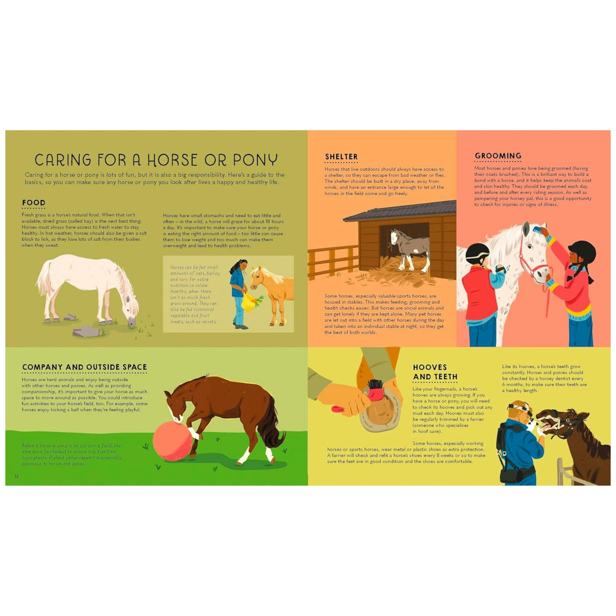 Lonely Planet Kids Atlas of Horses and Ponies : Discover the A-Neigh-zing World of Horses - My Little J