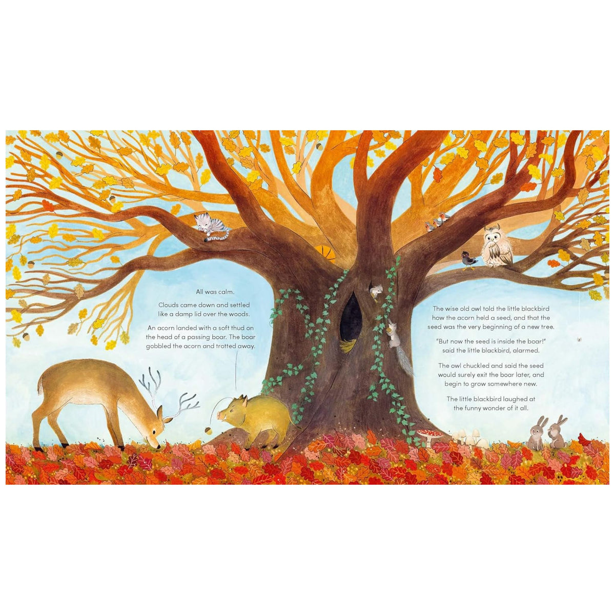 The Great Oak Tree - My Little J