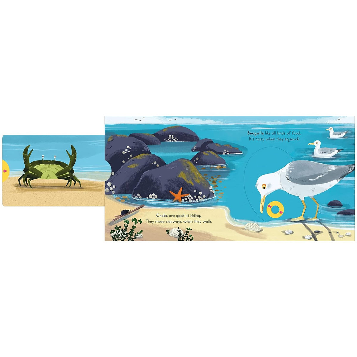 National Trust: Big Outdoors for Little Explorers: Seaside – inside pages