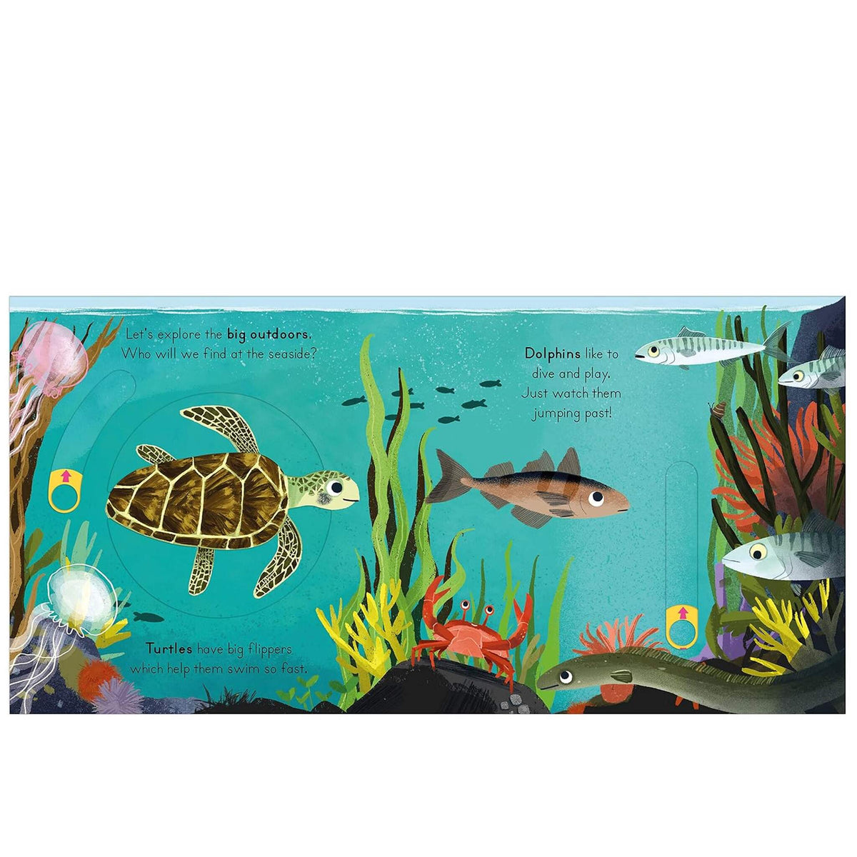 Seaside – inside pages