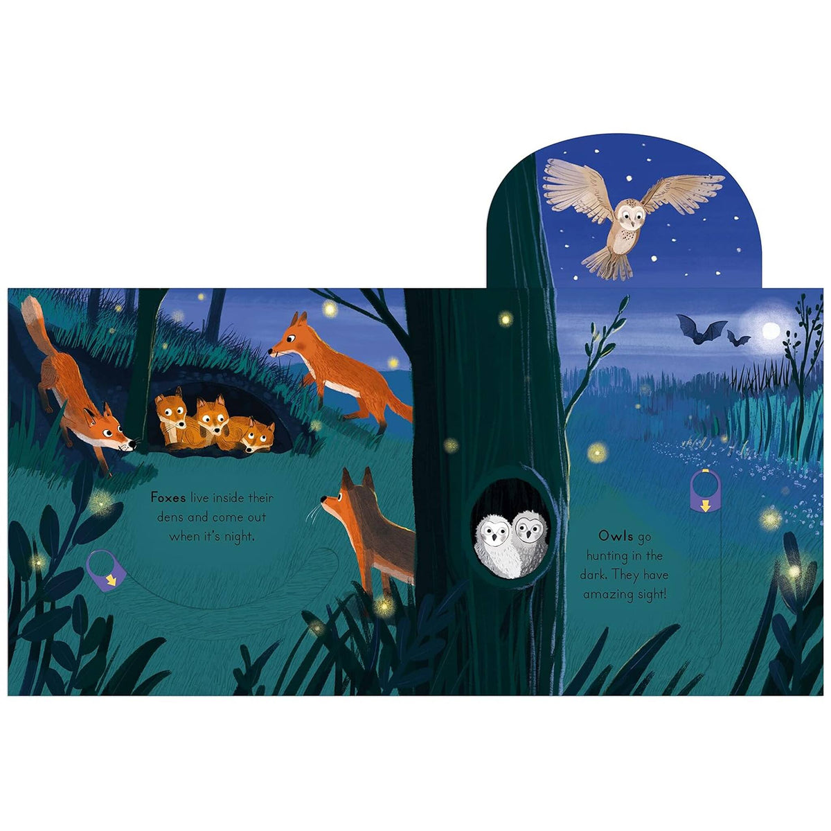 National Trust: Big Outdoors for Little Explorers: Woods – inside pages