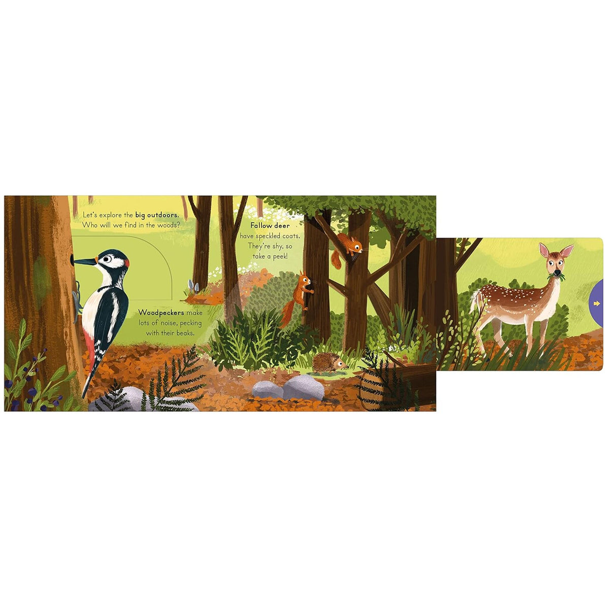 National Trust: Big Outdoors for Little Explorers: Woods – inside pages