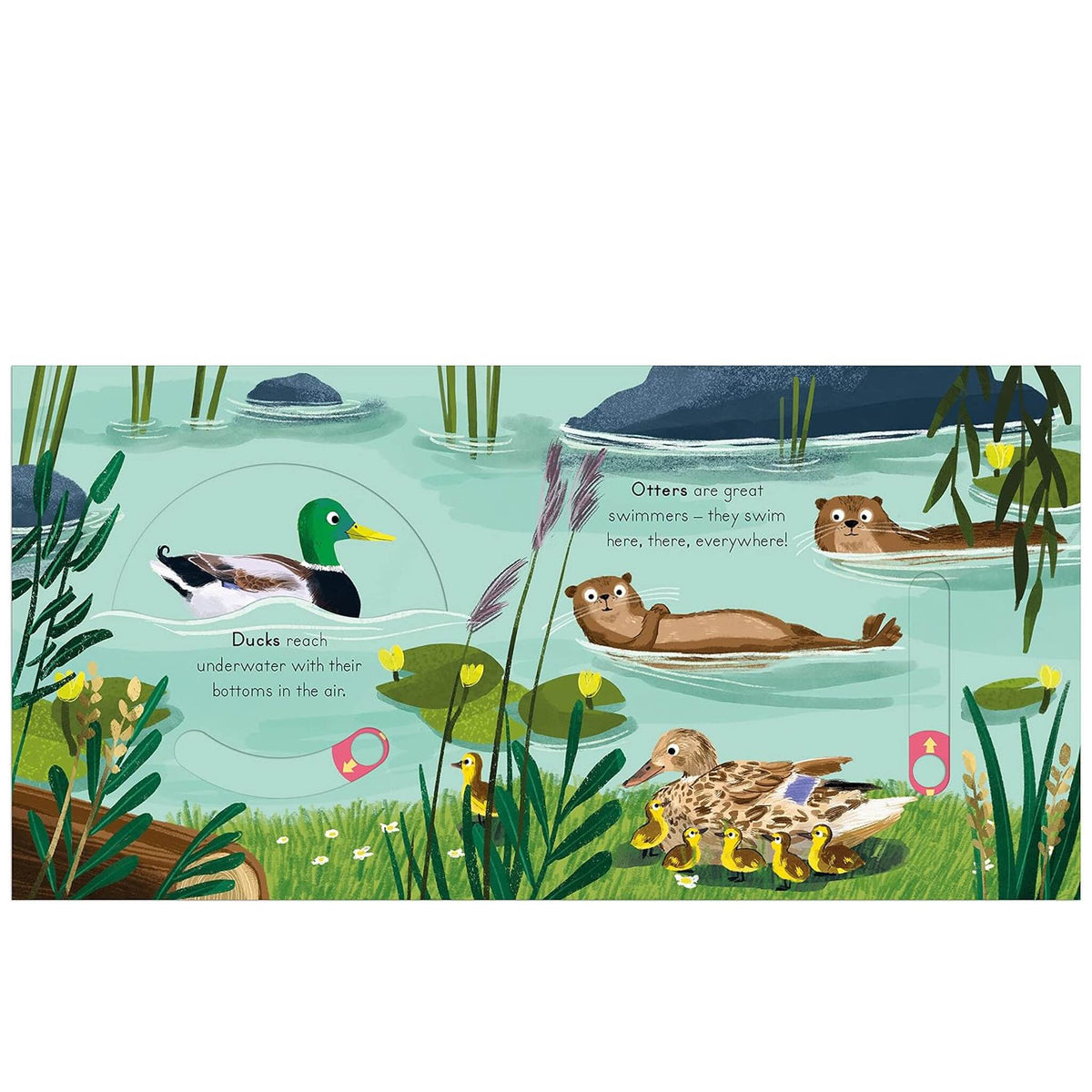 National Trust River – inside pages