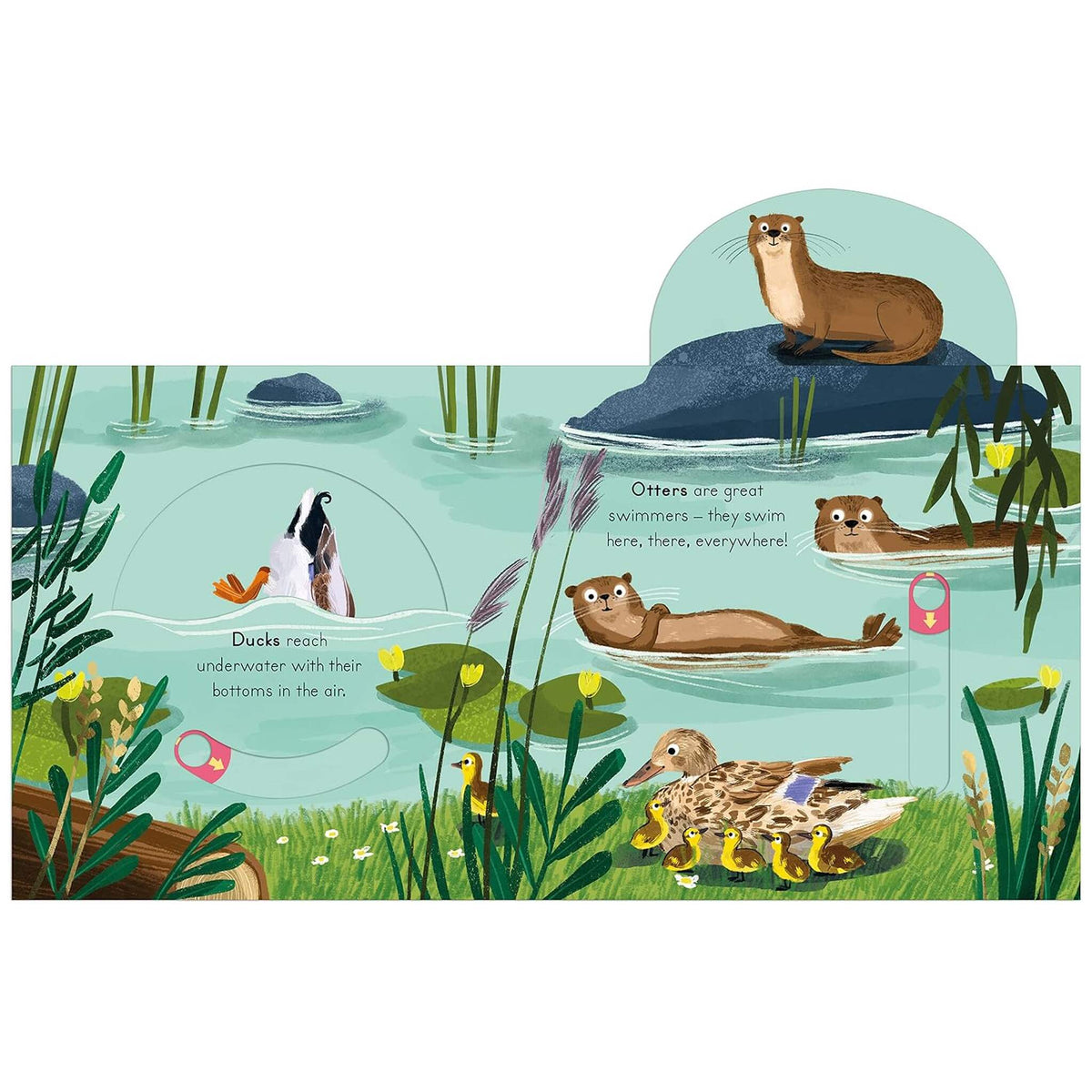 National Trust River – inside pages