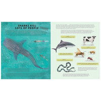 Everything You Know about Sharks Is Wrong