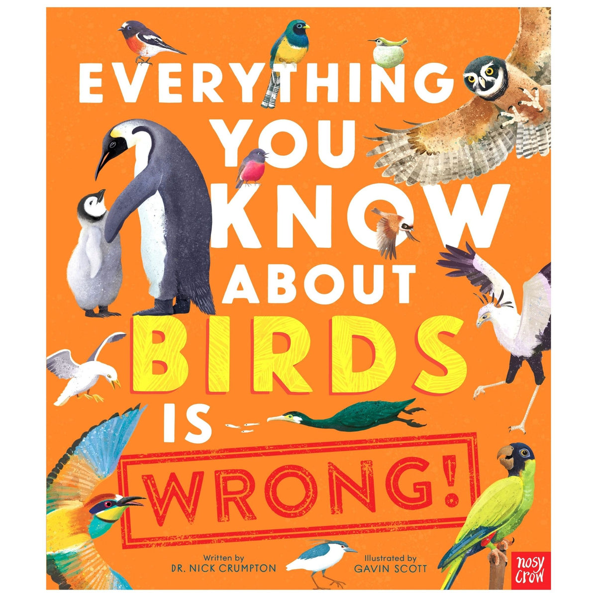 Everything You Know about Birds Is Wrong!