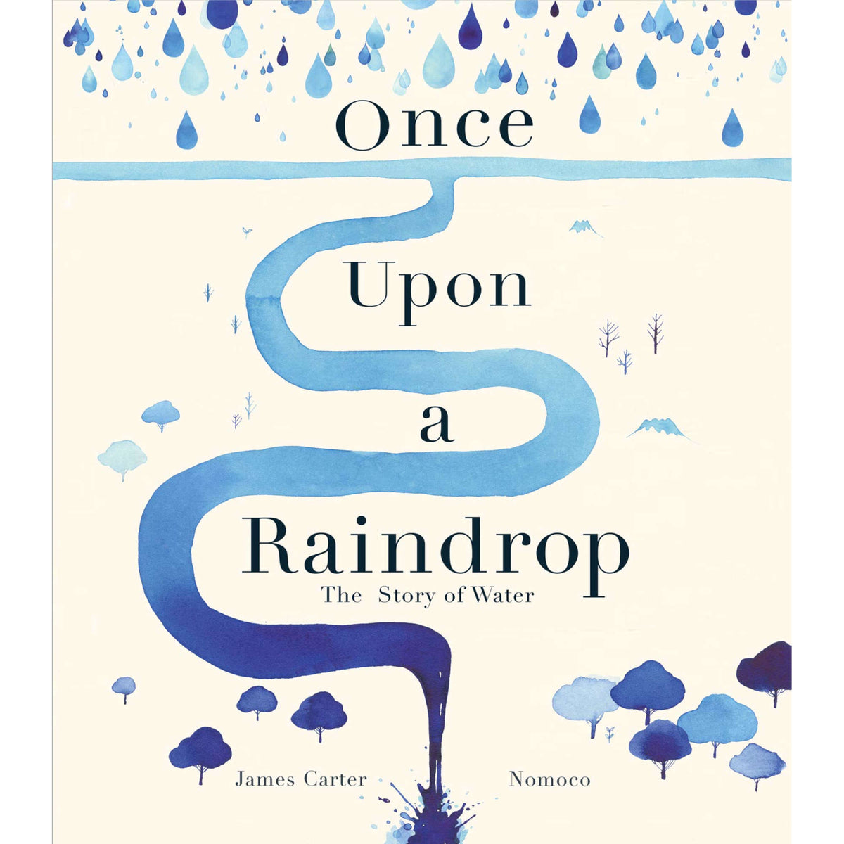 Once Upon a Raindrop : The Story of Water
