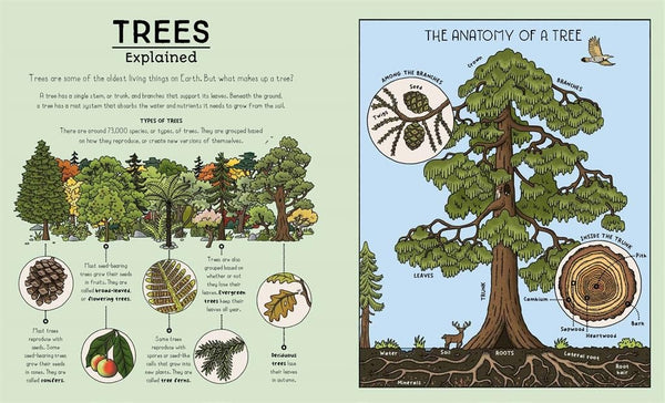 Nature Explained : A Family Guide to 20 Nature Cycles