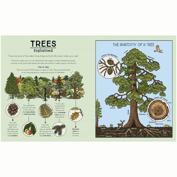 Nature Explained : A Family Guide to 20 Nature Cycles