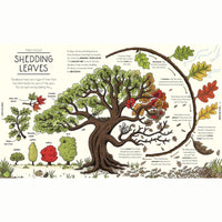 Nature Explained : A Family Guide to 20 Nature Cycles