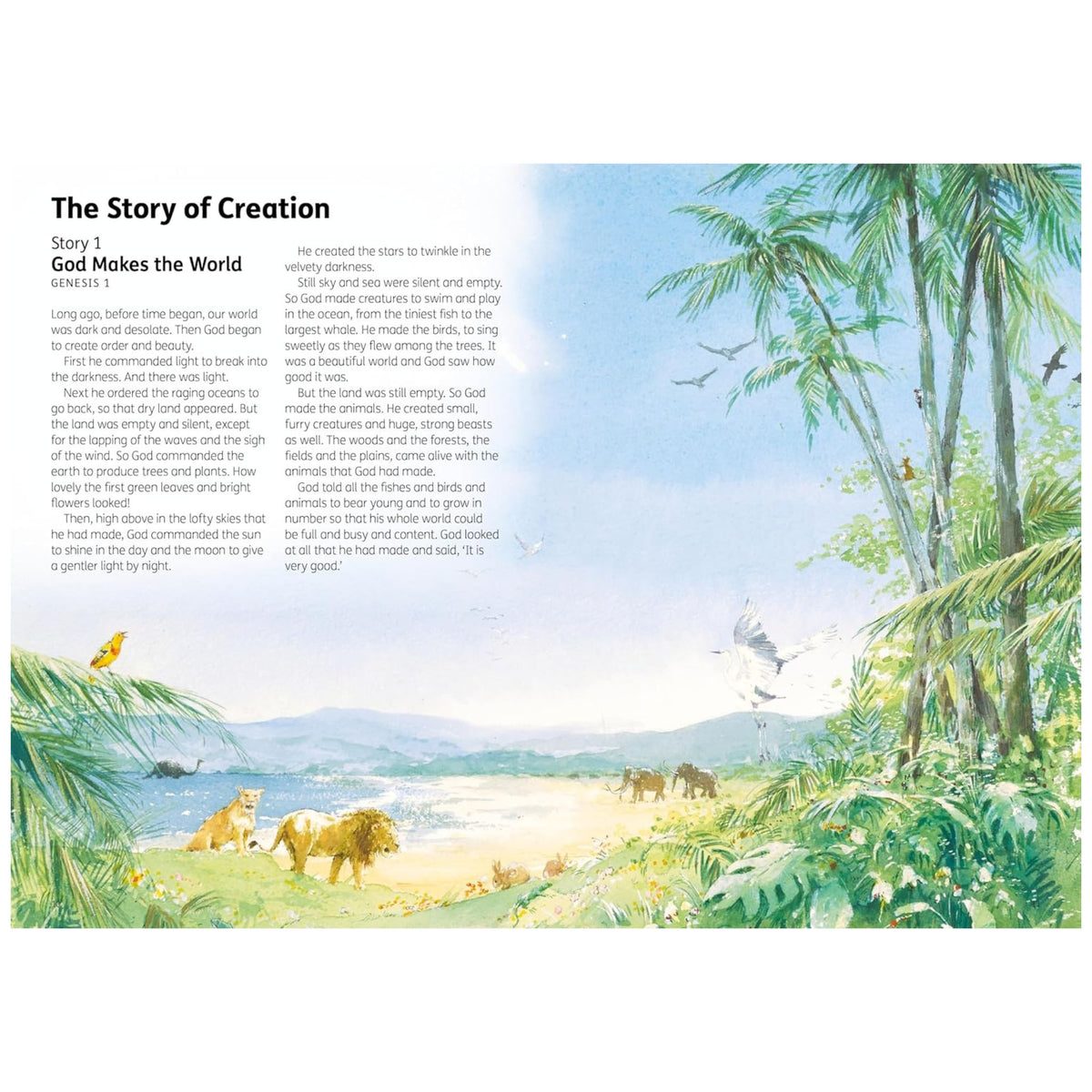 The Children's Bible in 365 Stories: A story for every day of the year