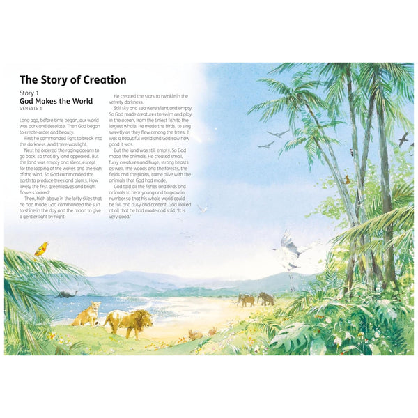 The Children's Bible in 365 Stories: A story for every day of the year