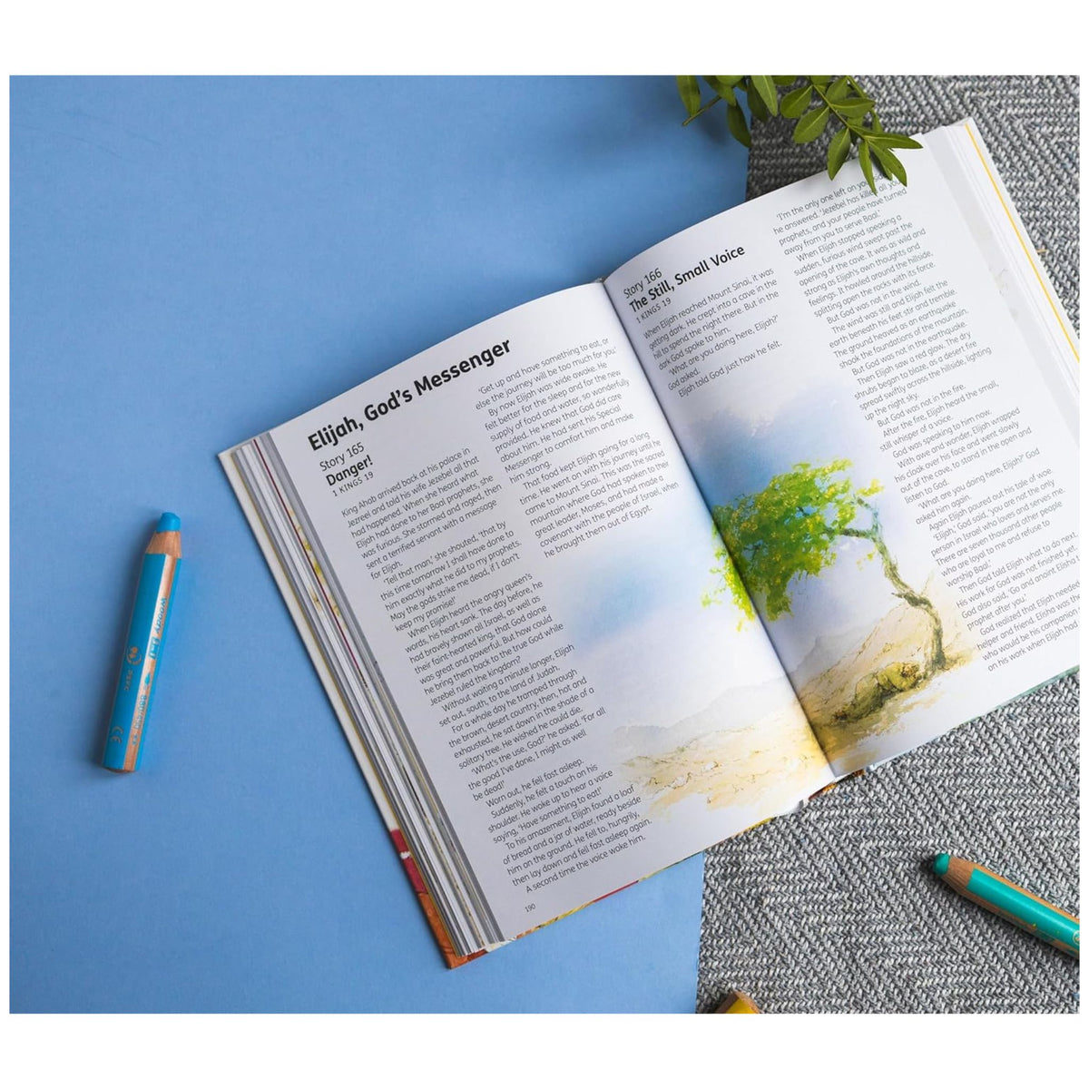 The Children's Bible in 365 Stories: A story for every day of the year