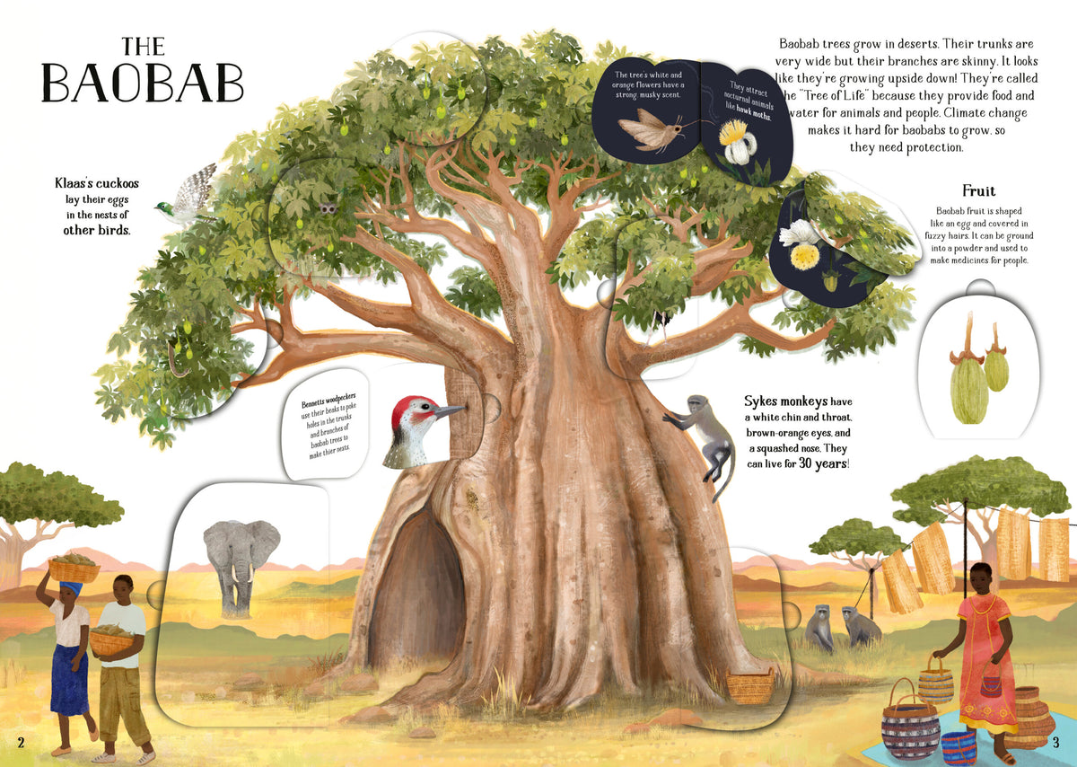 The Tree of Life : A lift-the-flap book about the amazing animals that live in trees around the world - My Little J
