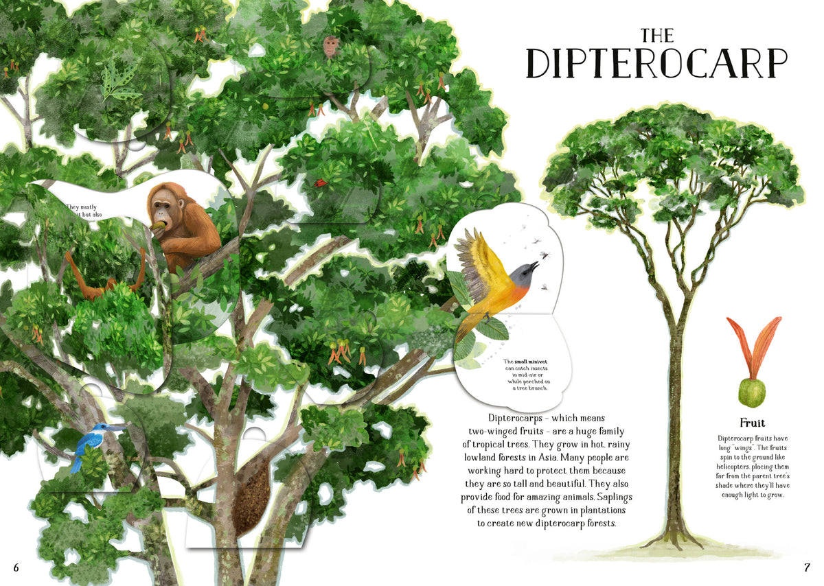 The Tree of Life : A lift-the-flap book about the amazing animals that live in trees around the world - My Little J