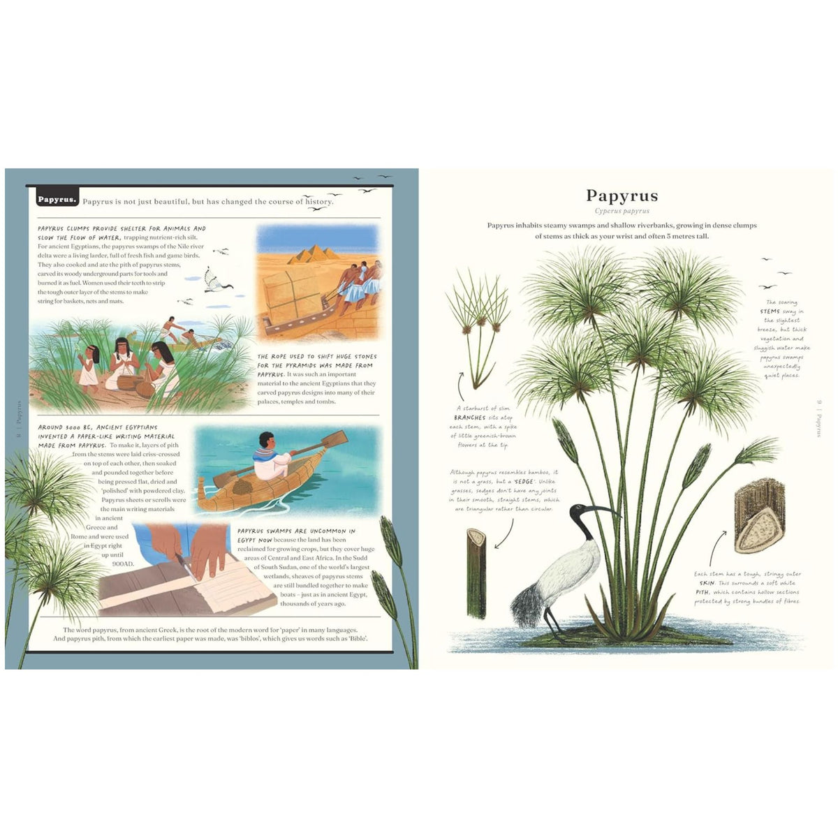 The Stuff that Stuff is Made of : Things We Make With Plants - My Little J