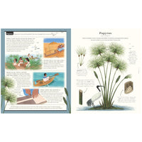 The Stuff that Stuff is Made of : Things We Make With Plants