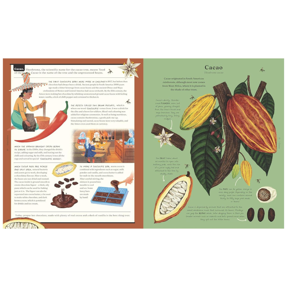 The Stuff that Stuff is Made of : Things We Make With Plants - My Little J