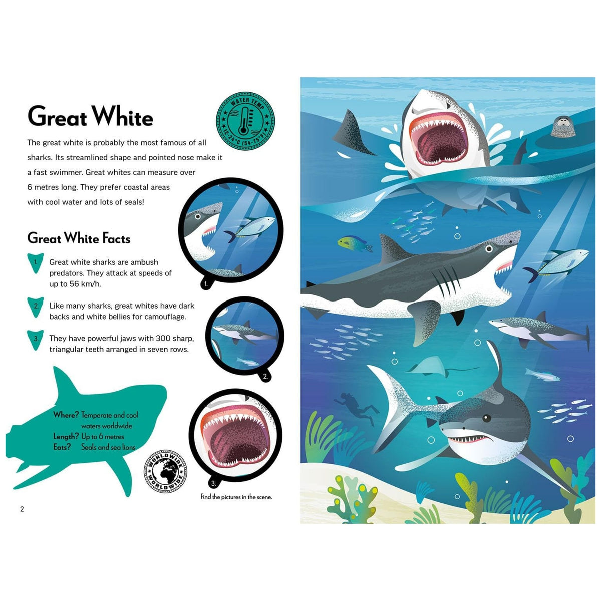 Fantastic Fearsome Sharks