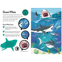 Fantastic Fearsome Sharks
