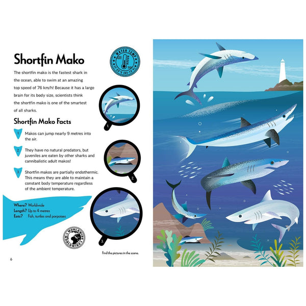 Fantastic Fearsome Sharks