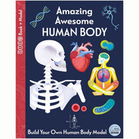 Amazing Awesome Human Body - My Little J