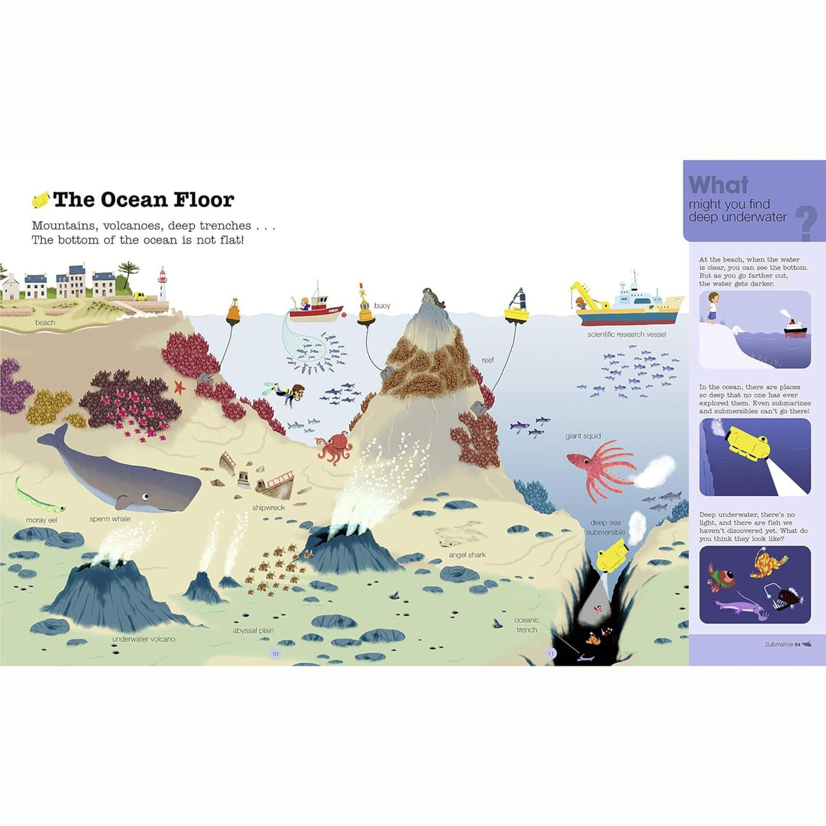 Do You Know?: Oceans and Marine Life - My Little J