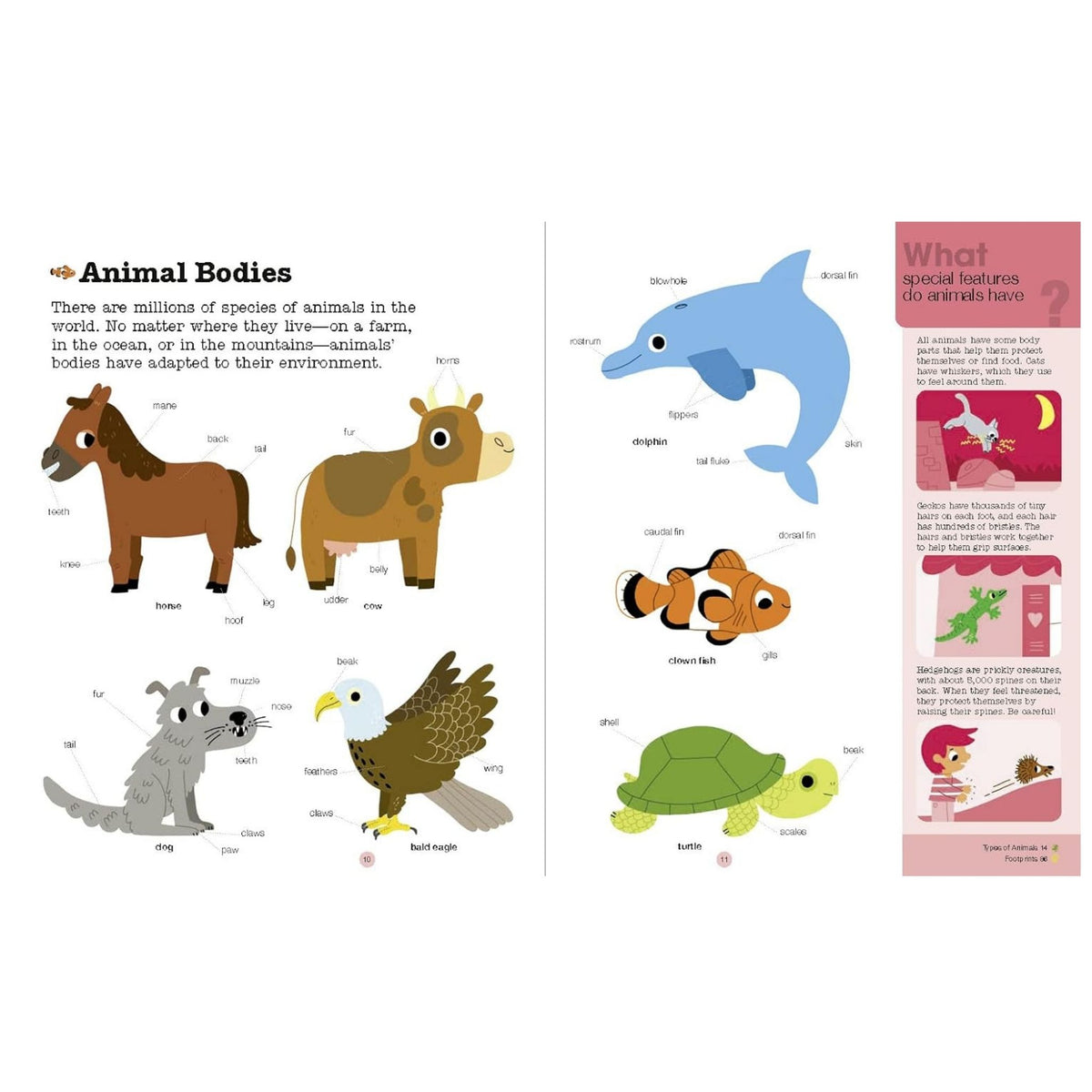 Do You Know?: Animals