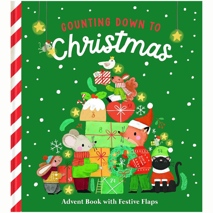 Counting Down to Christmas : Advent Book with Festive Flaps