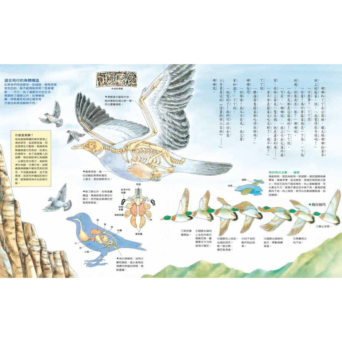 鳥類大追蹤 – inside pages