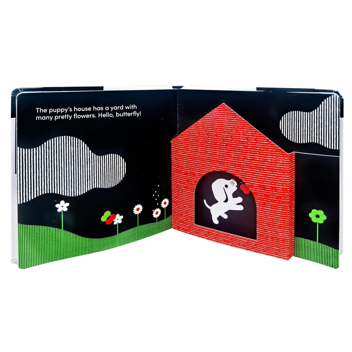 Baby Basics: Animals at Home (Hardcover)