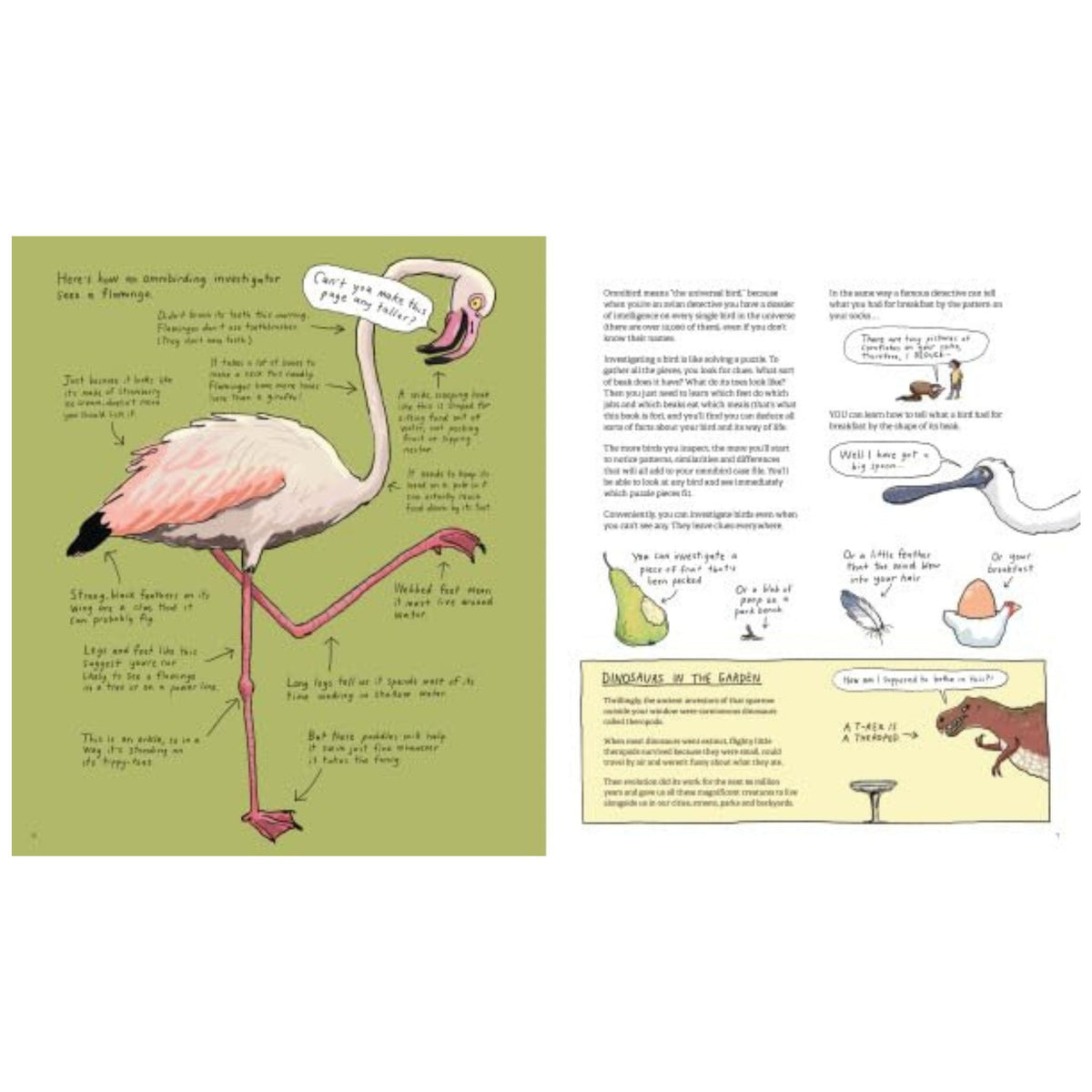 Omnibird : An Avian Investigator's Handbook - My Little J