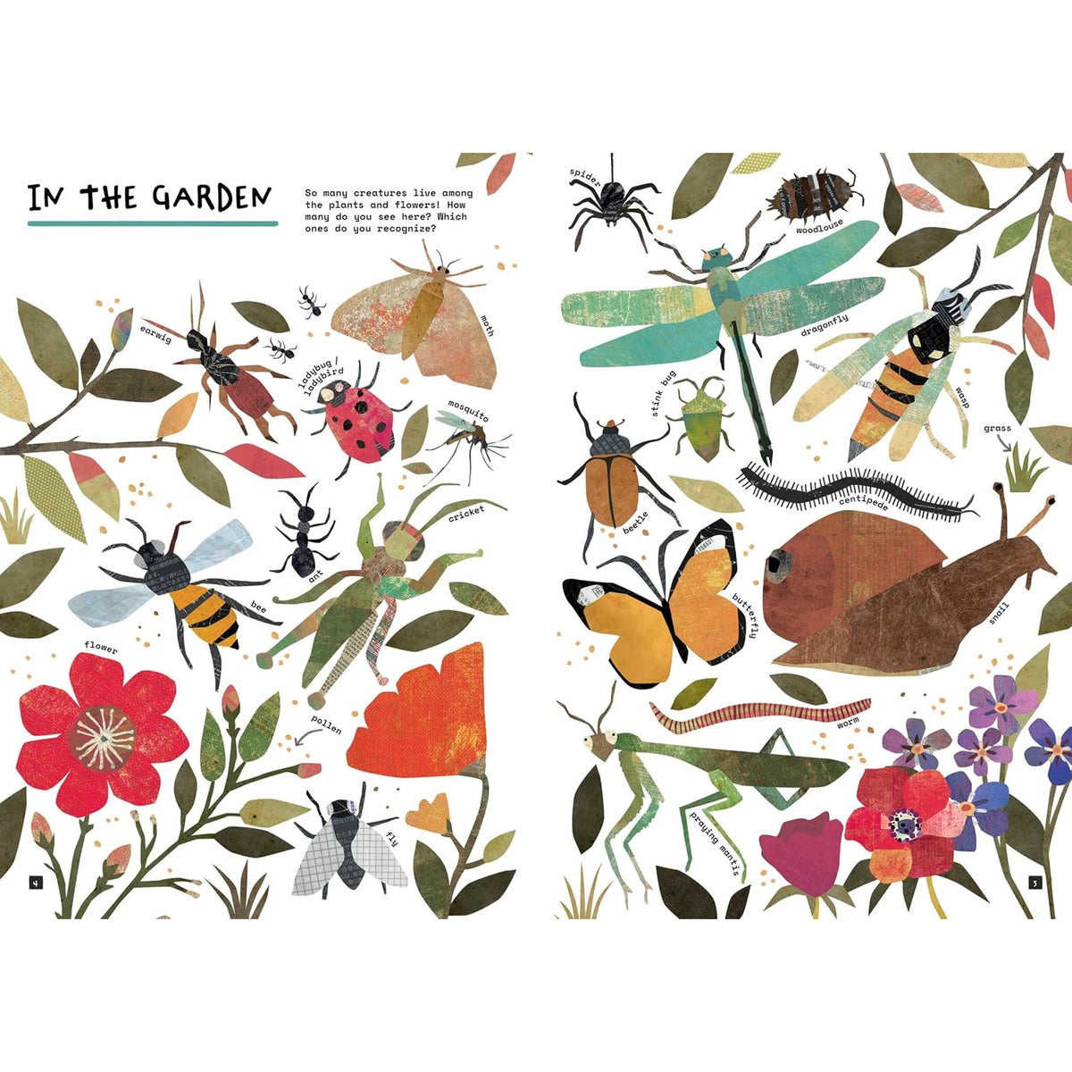 Barefoot Books So Many Things – inside pages