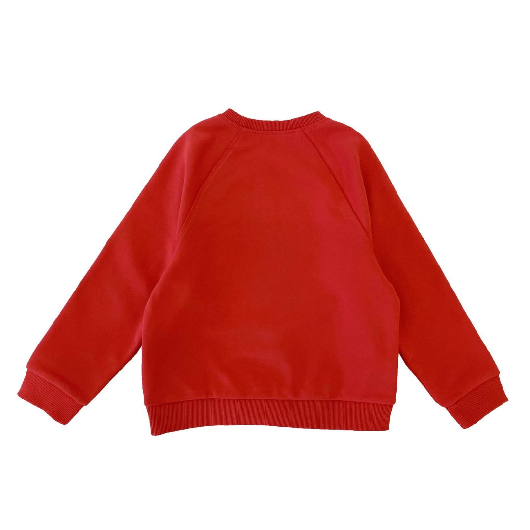 Boys LS Pullover Raglan Sleeve - Horse Patchwork - My Little J